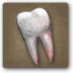 Súbor:Vybitý zub.png