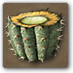 Súbor:Kaktusový džús.png