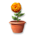 Kvetináč